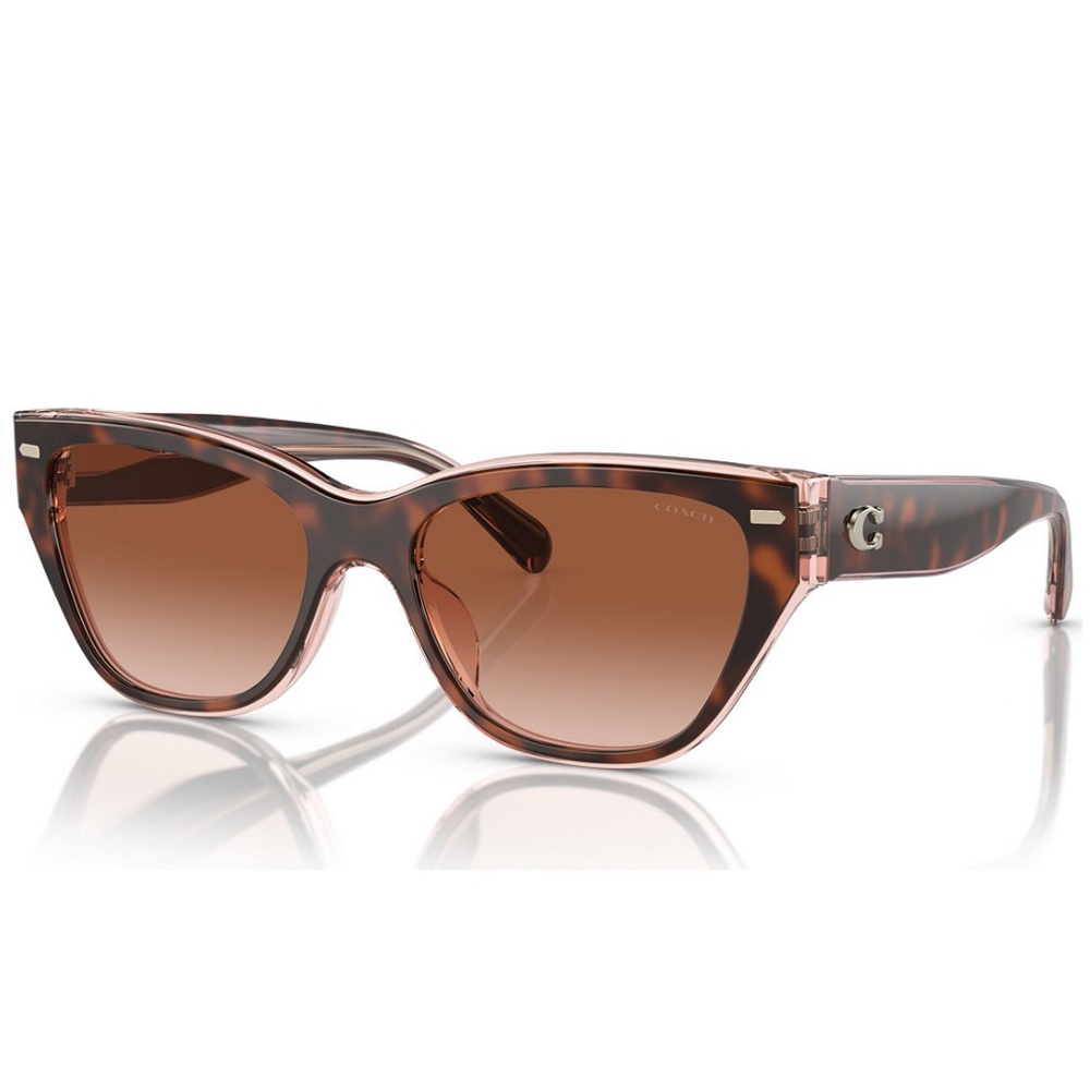 NWT Coach Cat eye  Brown Tortoise Sunglasses